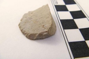 P1000541_a(small)