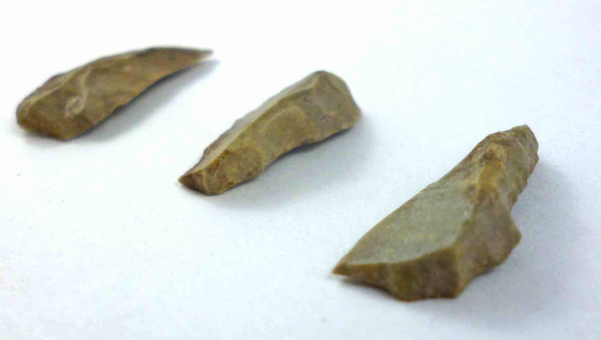 Archaeology & Ancient Australia